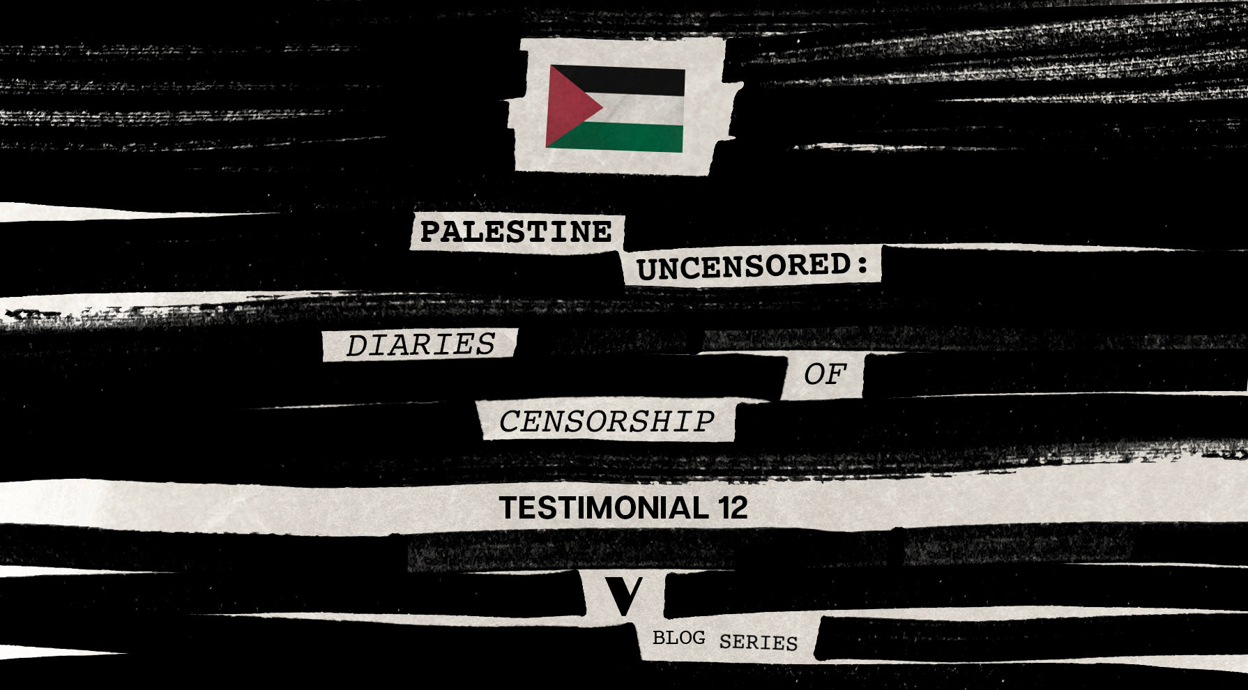 Seeing and Believing in Palestine: Testimonial 12 | Verso Books