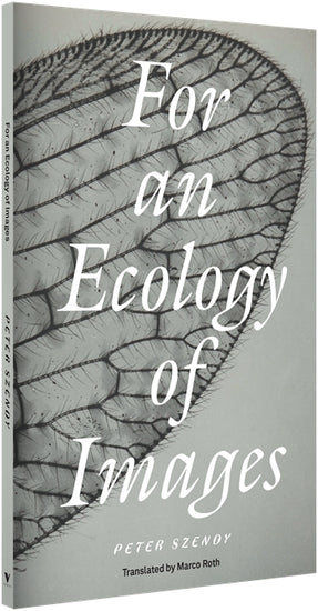 For an Ecology of Images